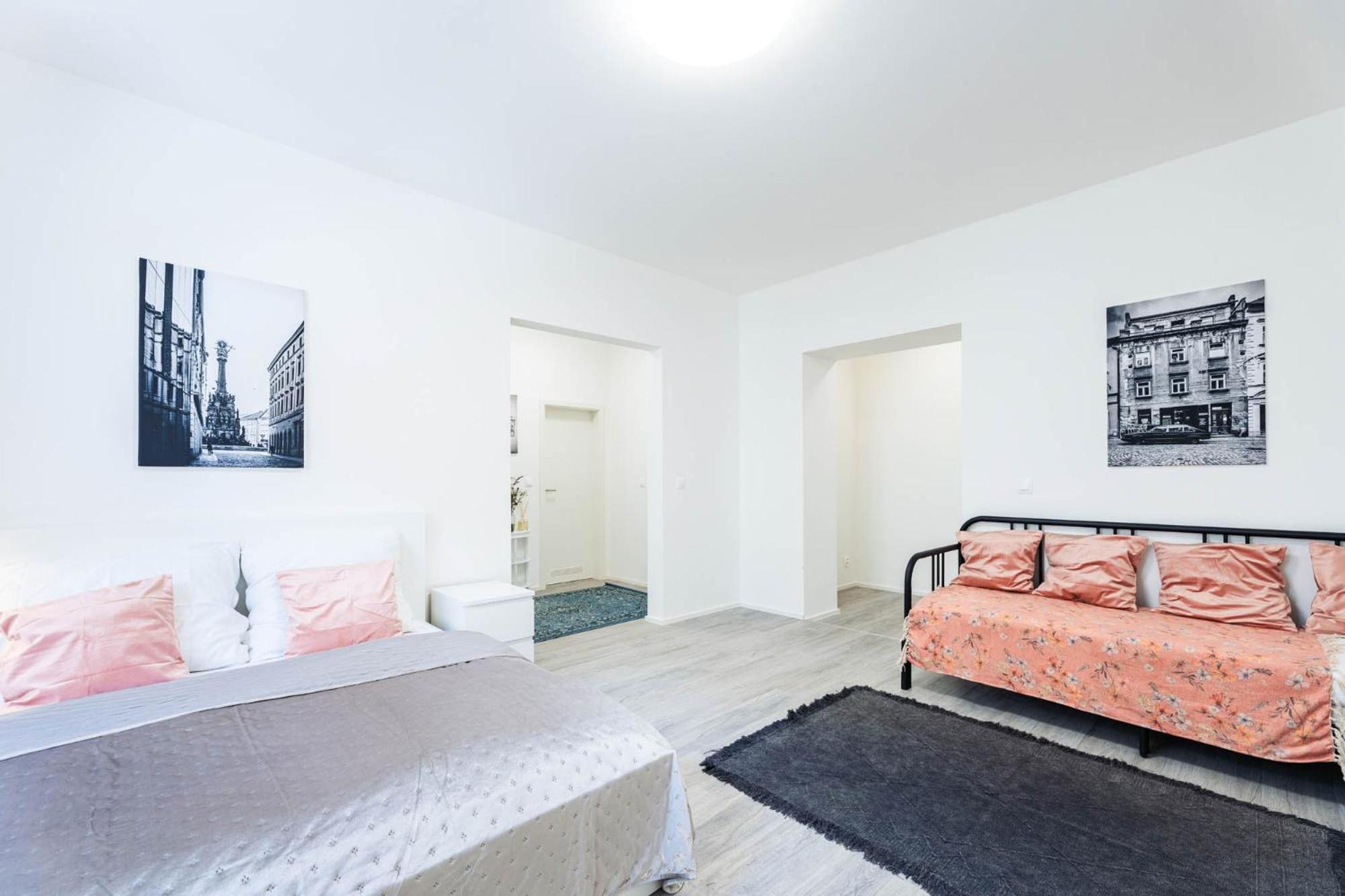 Silvie Apartments - Wurmova 奥洛穆茨 外观 照片
