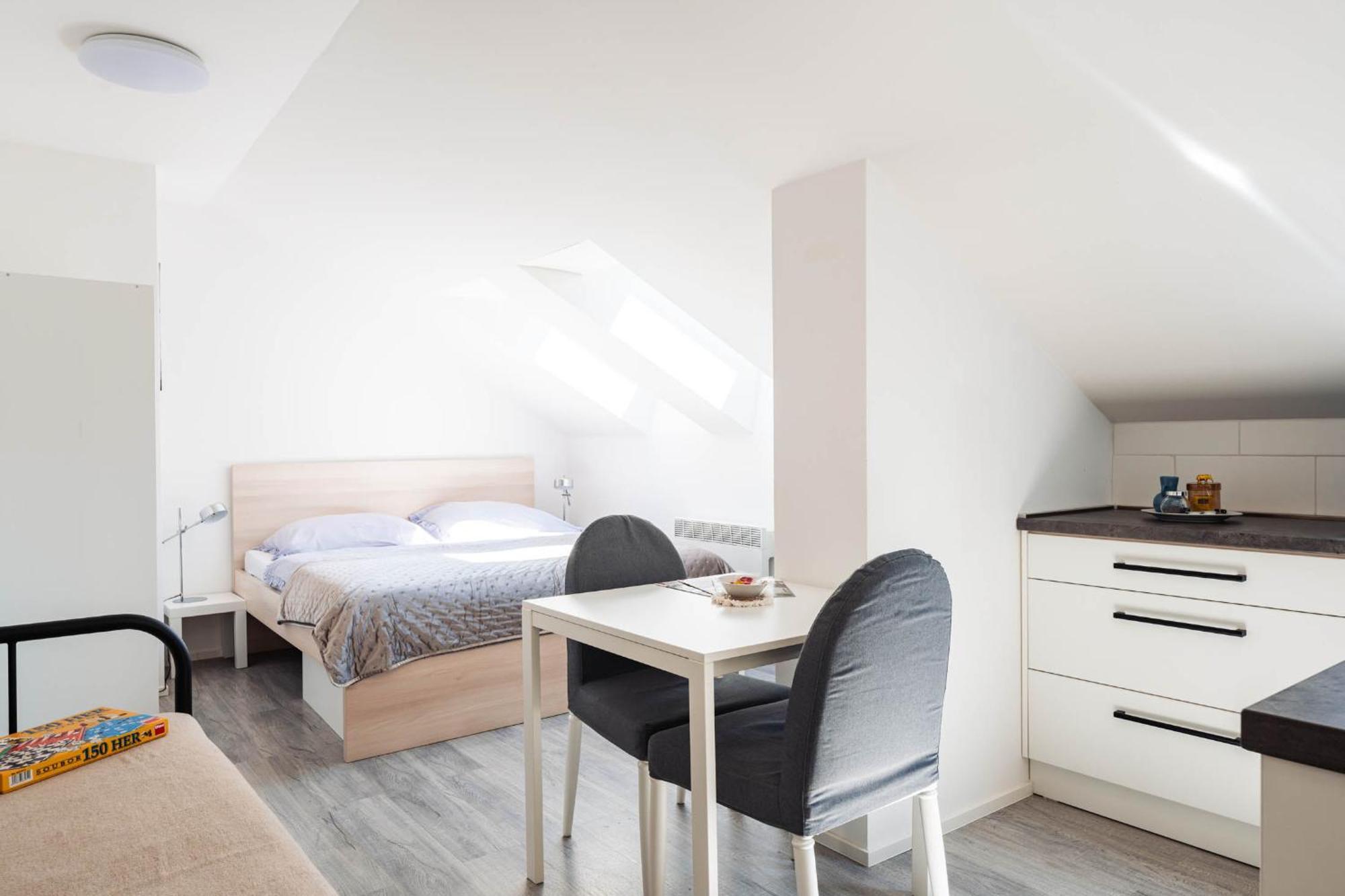 Silvie Apartments - Wurmova 奥洛穆茨 外观 照片